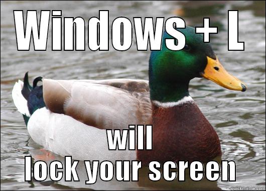 WINDOWS + L WILL LOCK YOUR SCREEN Actual Advice Mallard