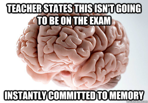 Teacher states this isn't going to be on the exam   Instantly committed to memory  Scumbag Brain