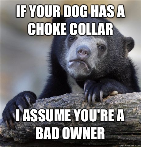 IF YOUR DOG HAS A CHOKE COLLAR I ASSUME YOU'RE A BAD OWNER  Confession Bear