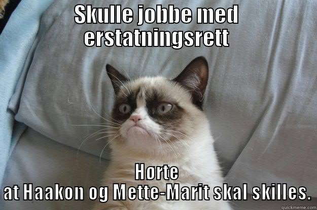 SKULLE JOBBE MED ERSTATNINGSRETT HØRTE AT HAAKON OG METTE-MARIT SKAL SKILLES. Grumpy Cat