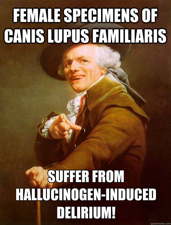 Female specimens of canis lupus familiaris suffer from hallucinogen-induced delirium!  
  Joseph Ducreux