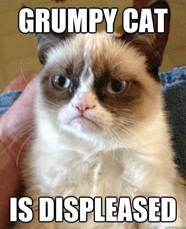 Grumpy cat is displeased   Grumpy Cat