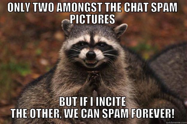 ONLY TWO AMONGST THE CHAT SPAM PICTURES BUT IF I INCITE THE OTHER, WE CAN SPAM FOREVER! Evil Plotting Raccoon