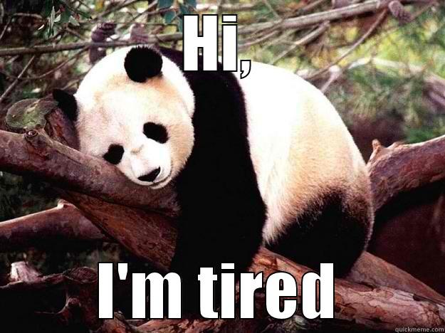 HI, I'M TIRED Procrastination Panda