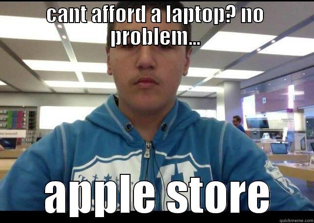 CANT AFFORD A LAPTOP? NO PROBLEM...  APPLE STORE Misc