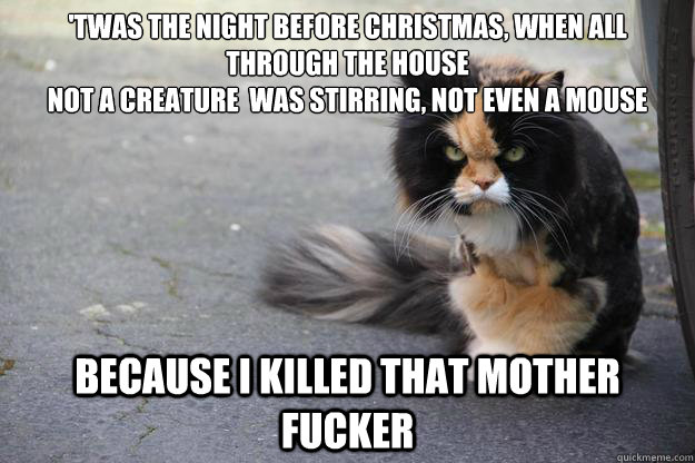 'twas the night before christmas, when all through the house
not a creature  was stirring, not even a mouse Because i killed that mother fucker  