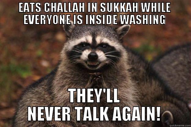 EATS CHALLAH IN SUKKAH WHILE EVERYONE IS INSIDE WASHING THEY'LL NEVER TALK AGAIN! Evil Plotting Raccoon