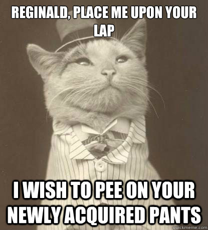 Reginald, place me upon your lap I wish to pee on your newly acquired pants  Aristocat