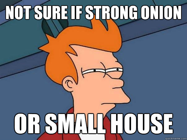 Not sure if strong onion Or small house  Futurama Fry