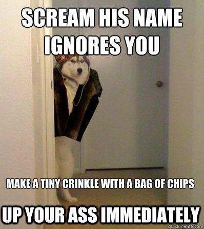 SCREAM HIS NAME
IGNORES YOU MAKE A TINY CRINKLE WITH A BAG OF CHIPS
 UP YOUR ASS IMMEDIATELY  