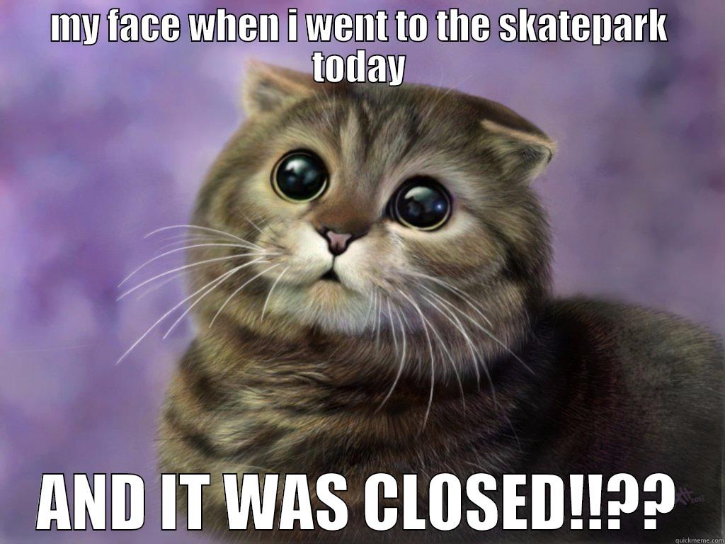 forreal though - MY FACE WHEN I WENT TO THE SKATEPARK TODAY AND IT WAS CLOSED!!?? Misc