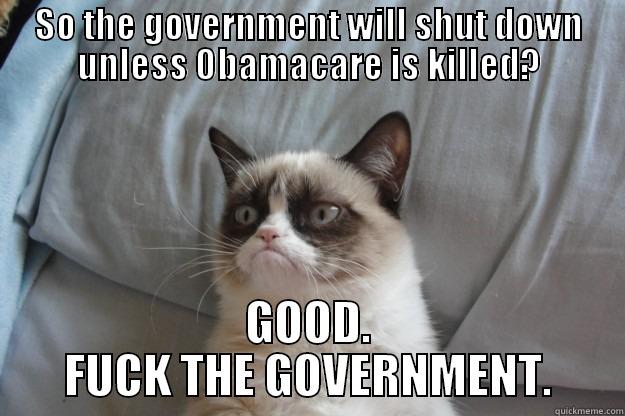 SO THE GOVERNMENT WILL SHUT DOWN UNLESS OBAMACARE IS KILLED? GOOD. FUCK THE GOVERNMENT. Grumpy Cat