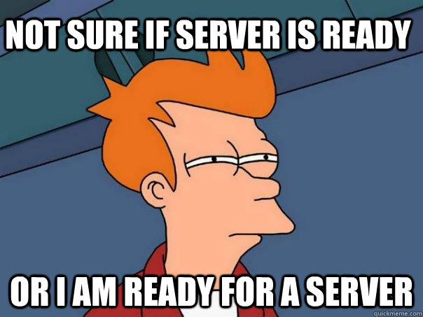 not sure if server is ready or i am ready for a server  Futurama Fry