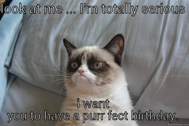 mad pussy - LOOK AT ME ... I'M TOTALLY SERIOUS I WANT YOU TO HAVE A PURR FECT BIRTHDAY. Grumpy Cat