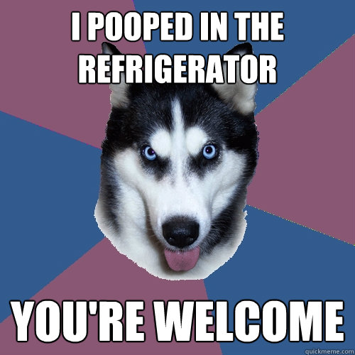 i pooped in the refrigerator you're welcome  Creeper Canine