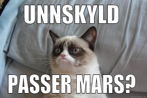 UNNSKYLD PASSER MARS? Grumpy Cat