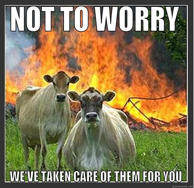 Not to worry cowz - NOT TO WORRY WE'VE TAKEN CARE OF THEM FOR YOU Evil cows