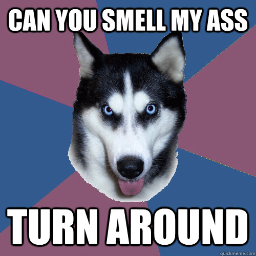 can you smell my ass turn around  Creeper Canine