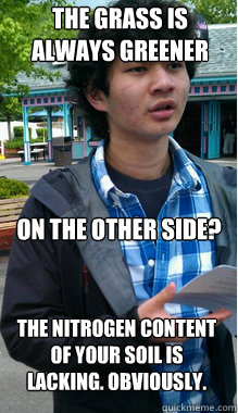 The grass is always greener On the other side? The nitrogen content of your soil is lacking. Obviously.  