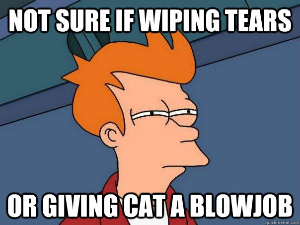 Not sure if wiping tears or giving cat a blowjob  Futurama Fry