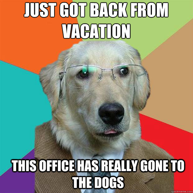 Just got back from vacation
 This office has really gone to the dogs  Business Dog