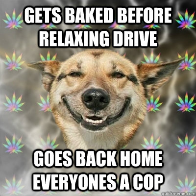 Gets baked before relaxing drive  goes back home everyones a cop   Stoner Dog