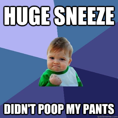 Huge Sneeze Didn't poop my pants - Huge Sneeze Didn't poop my pants  Success Kid