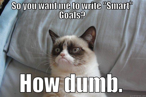 Grumpy Cat's Faculty Development Plan - SO YOU WANT ME TO WRITE 