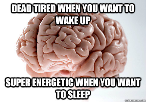 dead tired when you want to wake up super energetic when you want to sleep  Scumbag Brain