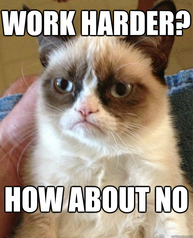 work harder? how about no  Grumpy Cat