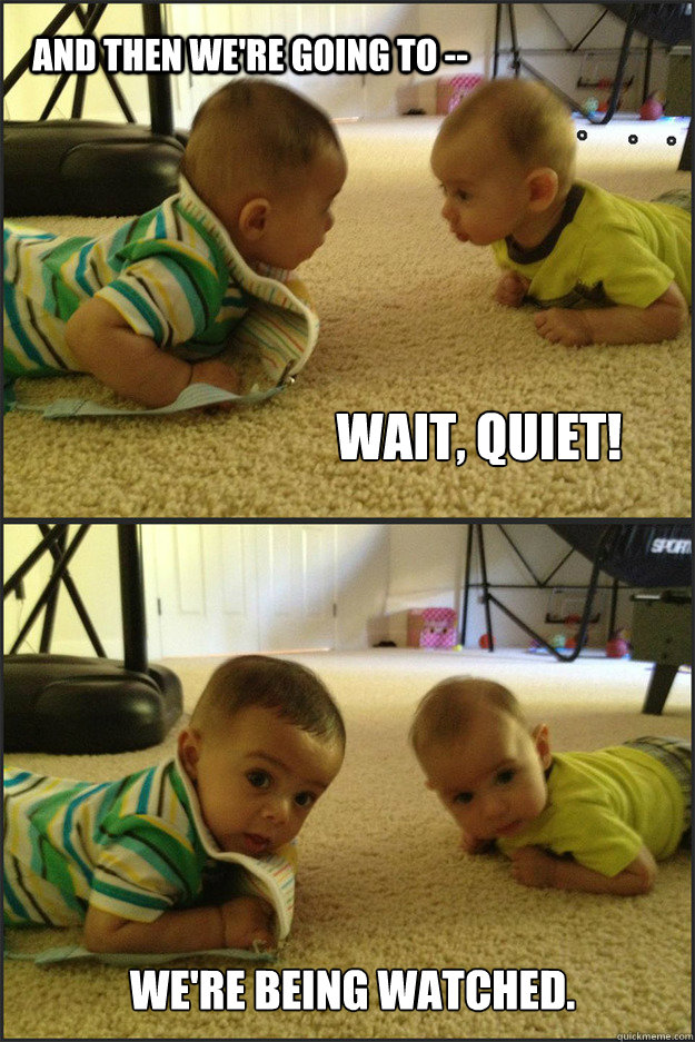 And then we're going to -- wait, quiet! we're being watched. - And then we're going to -- wait, quiet! we're being watched.  Conspiring Babies