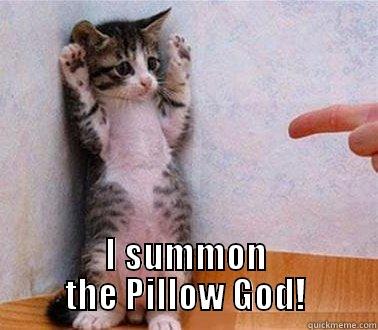  I SUMMON THE PILLOW GOD! Misc