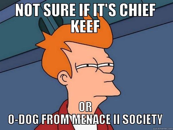 NOT SURE IF IT'S CHIEF KEEF OR O-DOG FROM MENACE II SOCIETY Futurama Fry