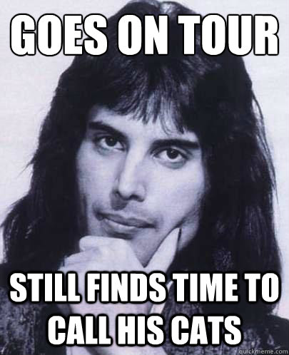 goes on tour still finds time to call his cats  Good Guy Freddie Mercury