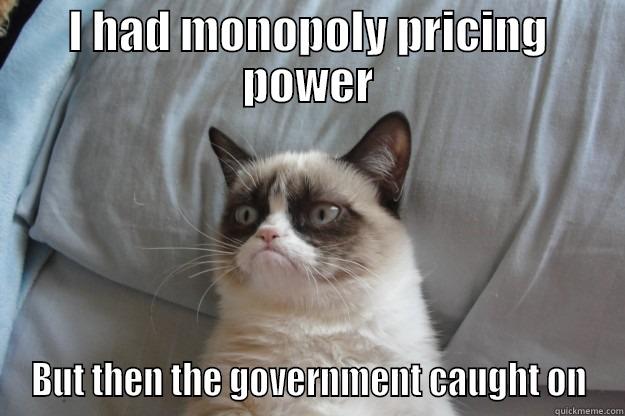 I HAD MONOPOLY PRICING POWER BUT THEN THE GOVERNMENT CAUGHT ON Grumpy Cat