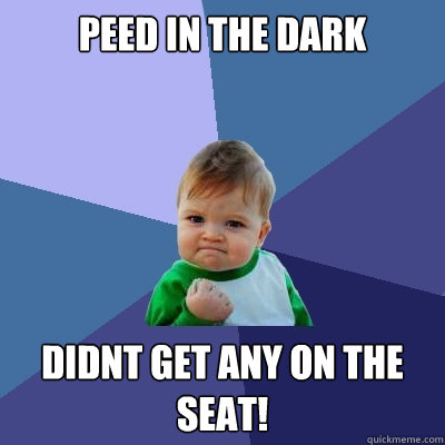 Peed in the dark didnt get any on the seat!  Success Kid