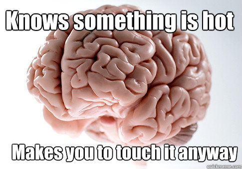 Knows something is hot Makes you to touch it anyway  Scumbag Brain