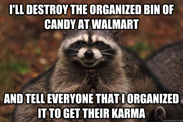 I'll destroy the organized bin of candy at Walmart And tell everyone that I organized it to get their karma  Evil Plotting Raccoon