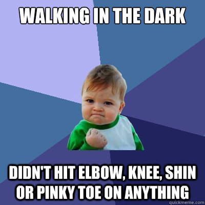 Walking in the dark Didn't hit elbow, knee, shin or pinky toe on anything - Walking in the dark Didn't hit elbow, knee, shin or pinky toe on anything  Success Kid