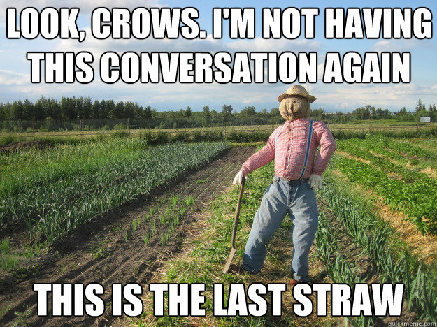 look, crows. I'm not having this conversation again This is the last straw  Scarecrow