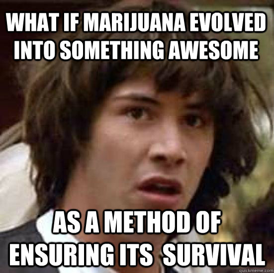 What if marijuana evolved into something awesome as a method of ensuring its  survival  conspiracy keanu