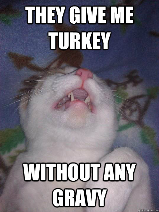 They give me turkey without any gravy  First World Problems Cat