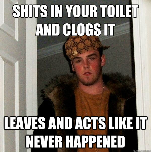 Shits in your toilet and clogs it
 leaves and acts like it never happened  Scumbag Steve