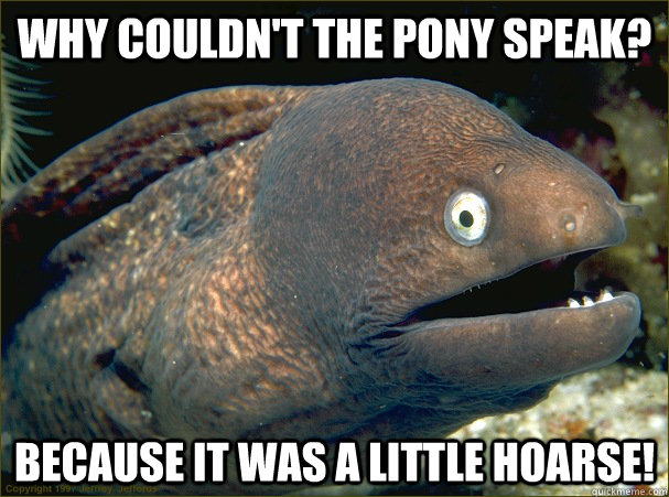 Why couldn't the pony speak? Because it was a little hoarse! - Why couldn't the pony speak? Because it was a little hoarse!  Bad Joke Eel