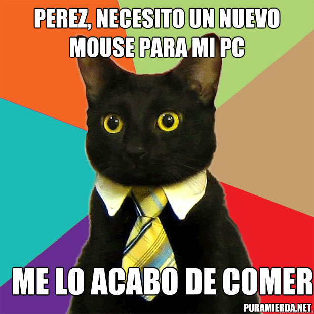 perez, necesito un nuevo mouse para mi pc me lo acabo de comer puramierda.net  Business Cat