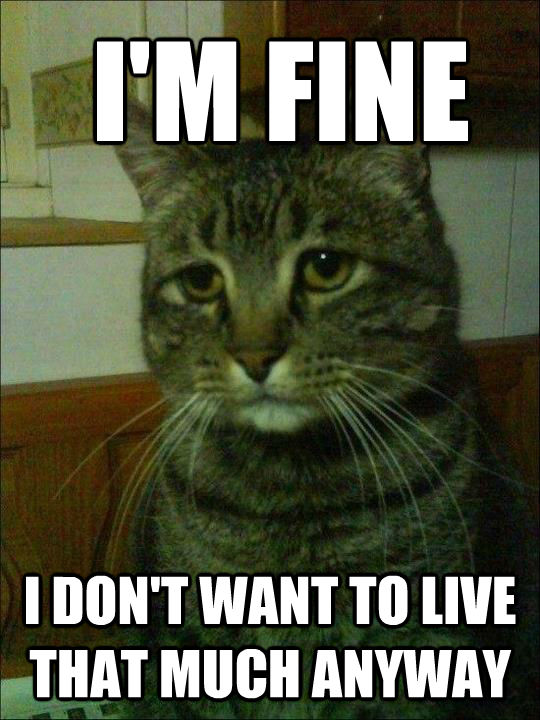  I'M FINE I DON'T WANT TO LIVE THAT MUCH ANYWAY  untitled meme