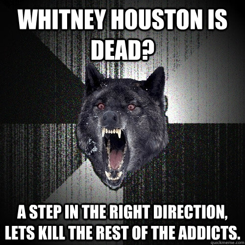 Whitney Houston is dead? A step in the right direction, lets kill the rest of the addicts.  Insanity Wolf