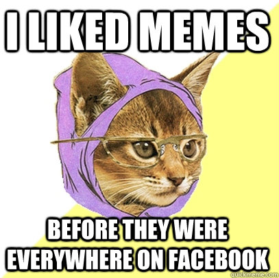 I liked memes  before they were everywhere on facebook  Hipster Kitty