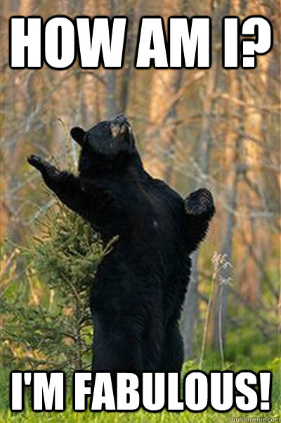 How am I? I'm FABULOUS!  Fabulous Bear