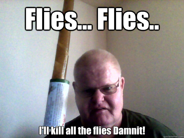 Flies... Flies.. I'll kill all the flies Damnit!  Killing Flies